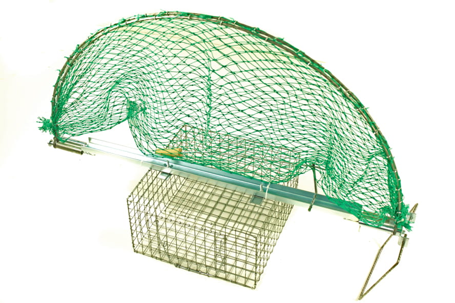 Živolapka (odchyt dravca)