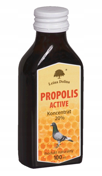 Propolis active 100ml