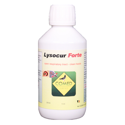 Lysocur FORTE 1L