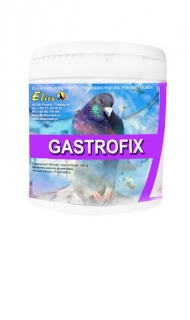 Gastrofix Elita