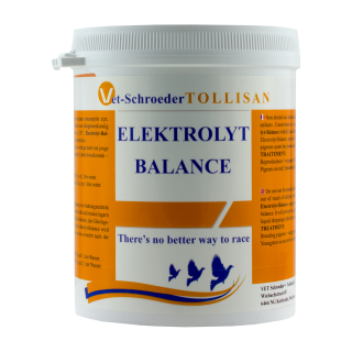 Elektrolyt Balance 500g tollisan