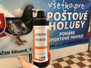 AminoForte- Tollisan